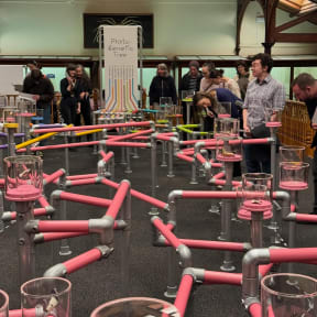 The Kingdom at Tūhura Otago Museum