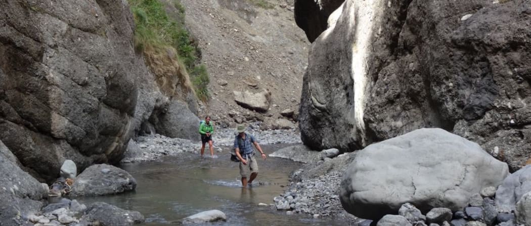 Geologists come from all over the world to study the exposed rocks in Mead Stream Gorge.