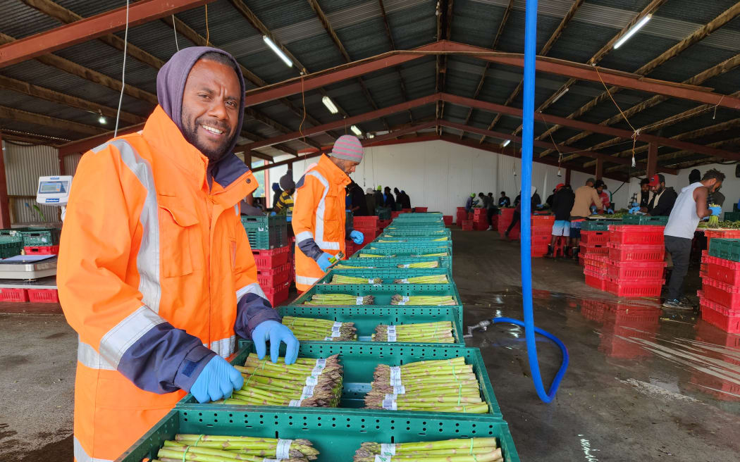 Glen Towbah has worked eleven asparagus seasons and goes on to pick apples. The RSE scheme allows them to stay up to seven months in New Zealand over an 11-month period