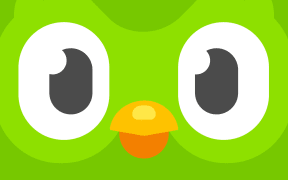 Duolingo has over 300 million users worldwide.