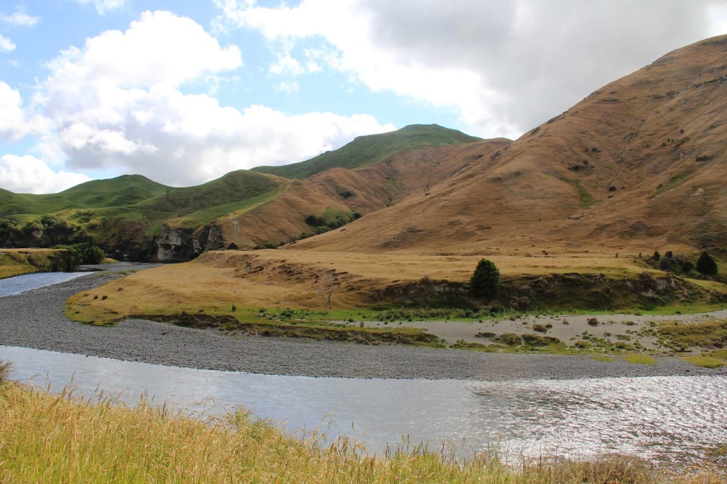 Hill country cropping on the banks of the Rangitikei River, the light brown patches are where the hills have been sprayed with herbicide.
