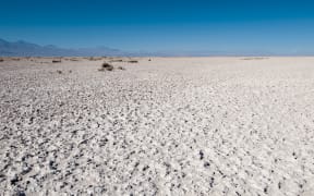 Salt crust in the Atacama Desert in Chile