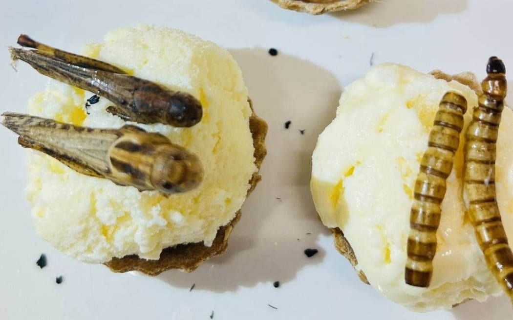 Ice cream made with bug protein