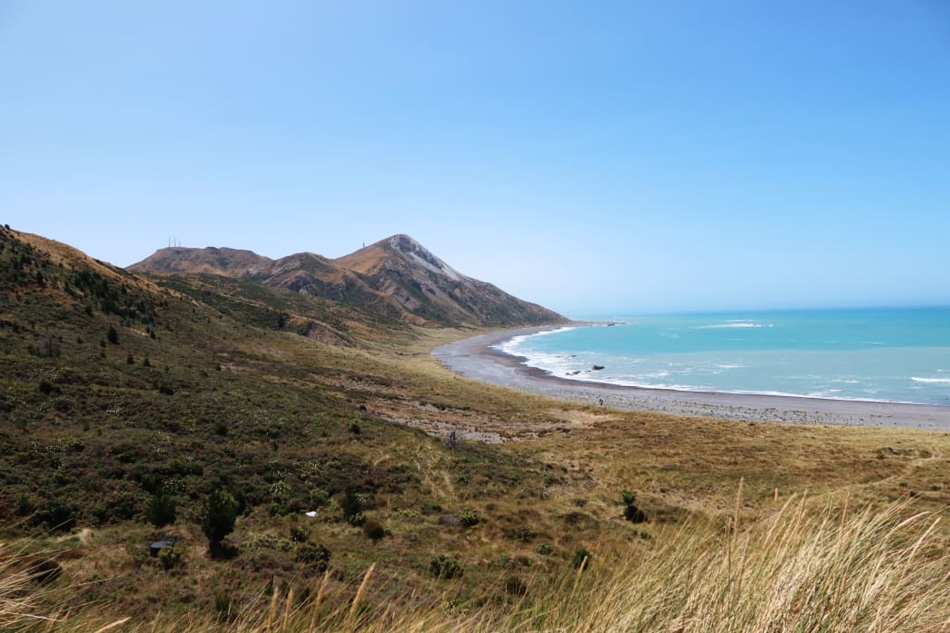 Marlborough District Council is looking to ban vehicles from 45km of the region's east coast.