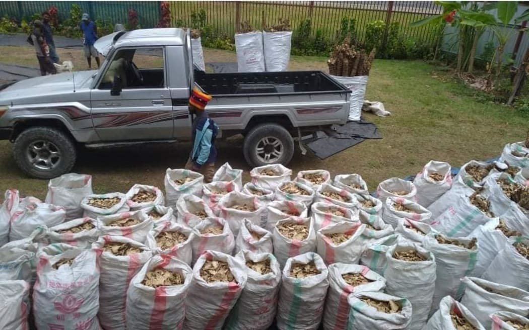 Ocean Kava Limited managing director Bilaki Enape Waizepa said currently PNG can only send roots to Fiji, but not the finished product.