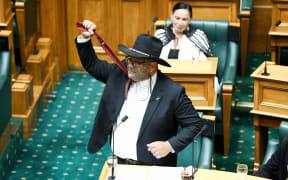 Te Paati Māori MP Rawiri Waititi gives his maiden speech at Parliament