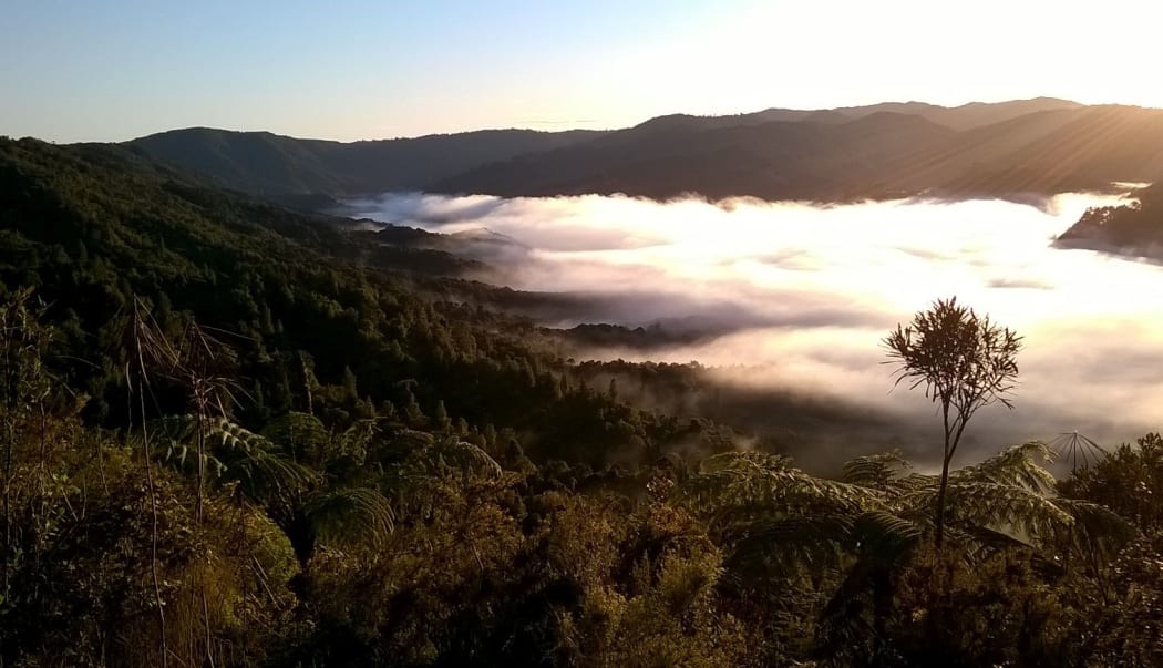 The Hunua Ranges
