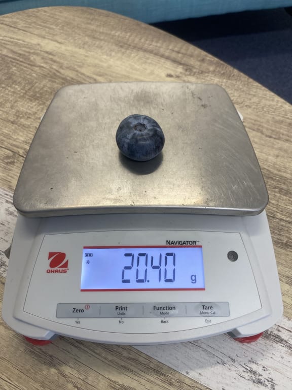 The berry has been assessed by the Guinness Book of World Records.