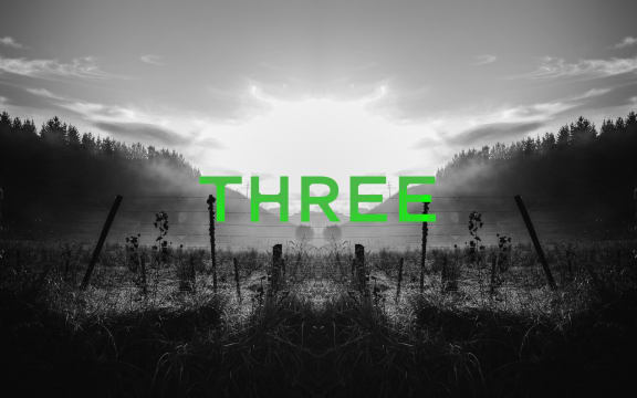 Podcast episode image for the 'Mr Lyttle Meets Mr Big' podcast. A moody black and white photograph of a misty farm fence is mirrored vertically creating a Rorschach like effect with the episode number 'THREE' overlaid in vibrant green.