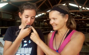 Poultry area volunteers Louisa Young (right) and 14-year-old science student Hana Sinclair nurse baby rooster Goose, one of the hundreds of animals being cared for at the Richmond showgrounds.