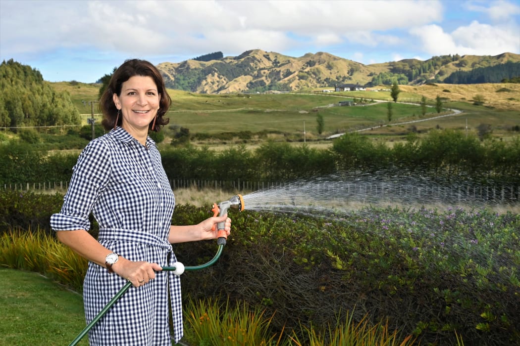A letter from Gisborne Mayor Rehette Stoltz says the district council has significant concerns around the proposed reforms.