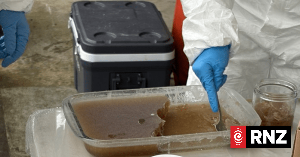 Alleged offenders came from overseas, police say, as $200,000, 10kg of meth seized