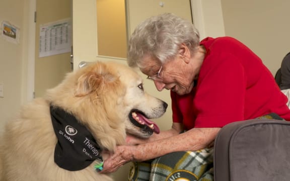 Therapy dog Moose is the highlight of the week for some residents of Summerset Retirement village in Karaka.