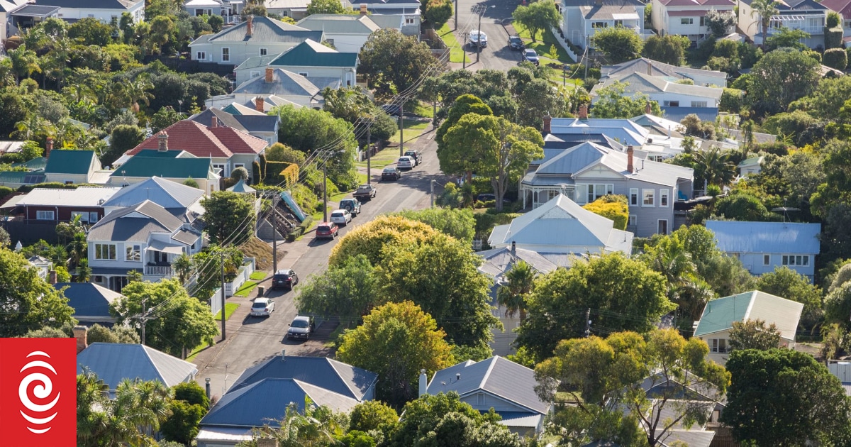 Dispute over accommodation sours family’s study trip to New Zealand