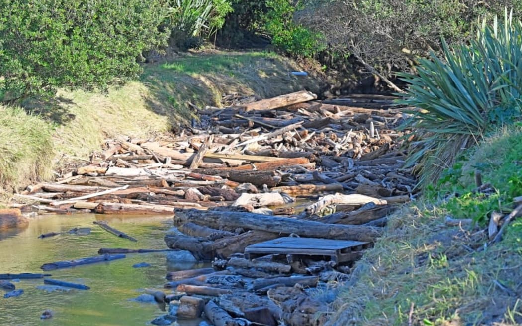 Wainui Stream culverts are filled with woody debris following last week's storm causing locals to worry about the hazards of debris on infrastructure and beach safety. Picture by Paul Rickard (LDR single use only)