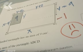 Error on NCEA Level 2 maths exam.