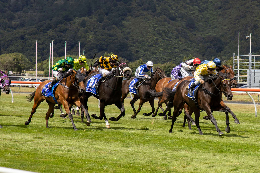Force of Will (R ridden by Craig Grylls wins the  New Zealand Blood Stock Desert Gold Stakes race during the Wellington Cup horse racing at Trentham Racecourse in Wellington on 31 January 2021.