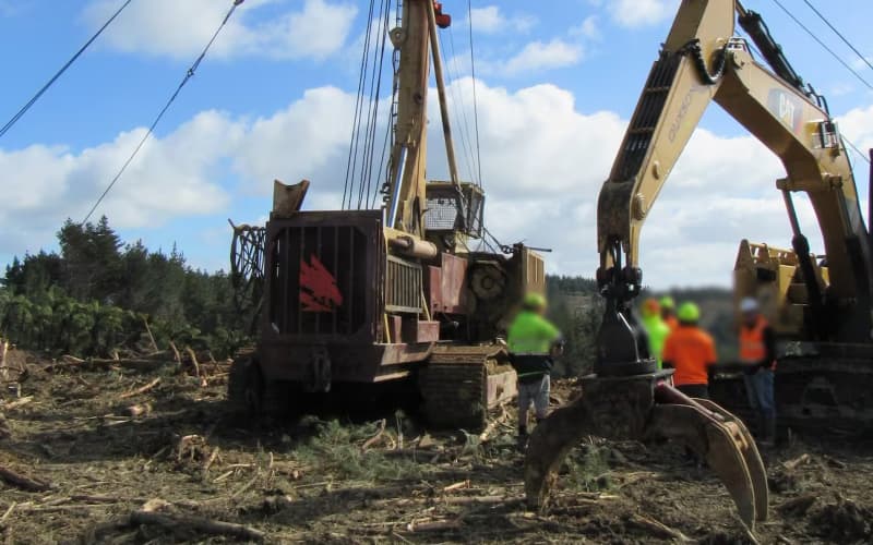 Contractor fined $70k for safety breach after forestry worker loses ...