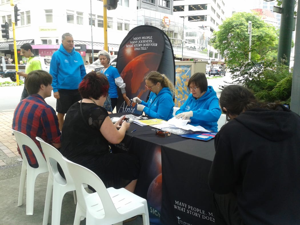 The Africa to Aotearoa team collected cheek swabs from people in major cities, as well as from several ethnic groups in New Zealand. Lisa Matisoo-Smith is seen processing a sample.