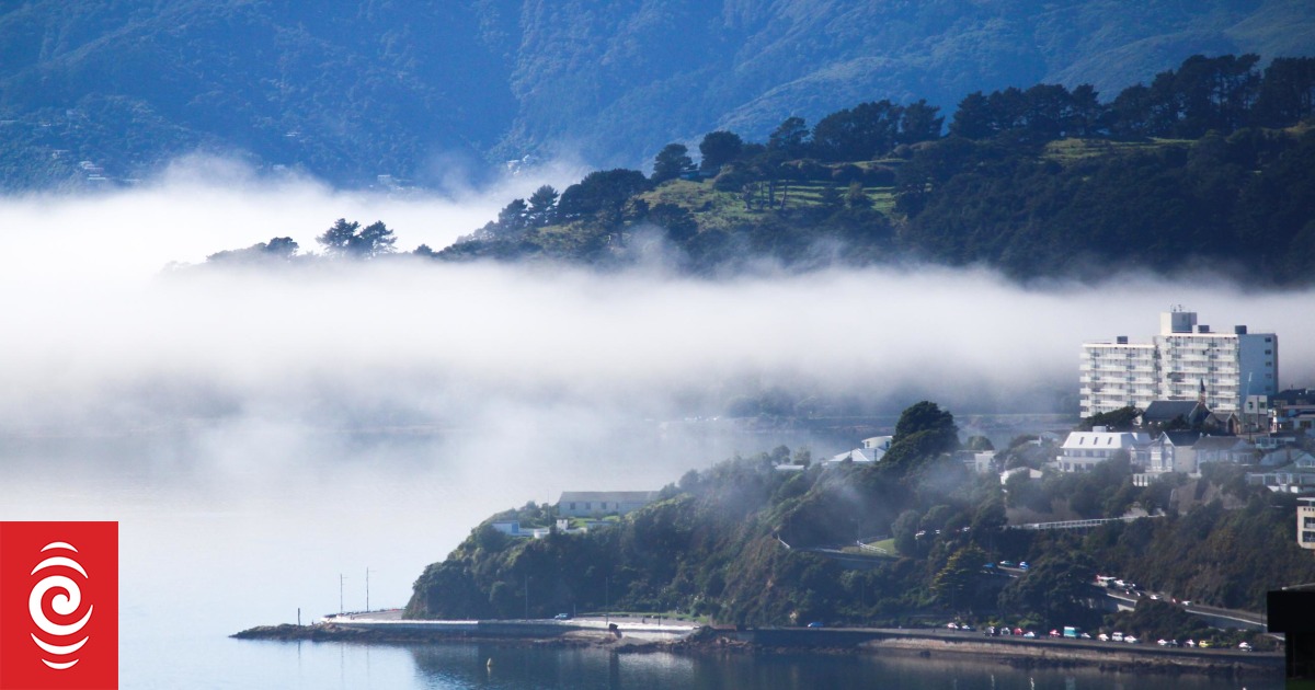 Fog cancels 60 flights at Wellington Airport, more possible