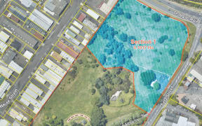 The section of Rotorua cemetery reserve planned for housing.