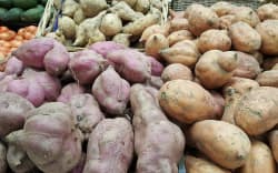 Kumara