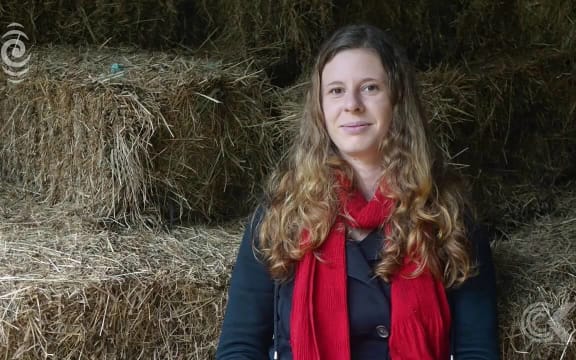 Feral cats reaching plague proportions, beekeeper says