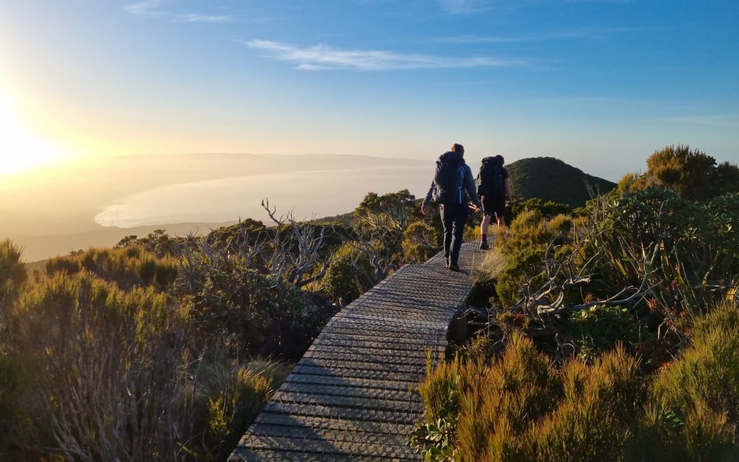 The Hump Ridge Track near Tuatapere.