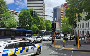 Police respond to an incident at Albert Park in Auckland on 24 January, 2024.