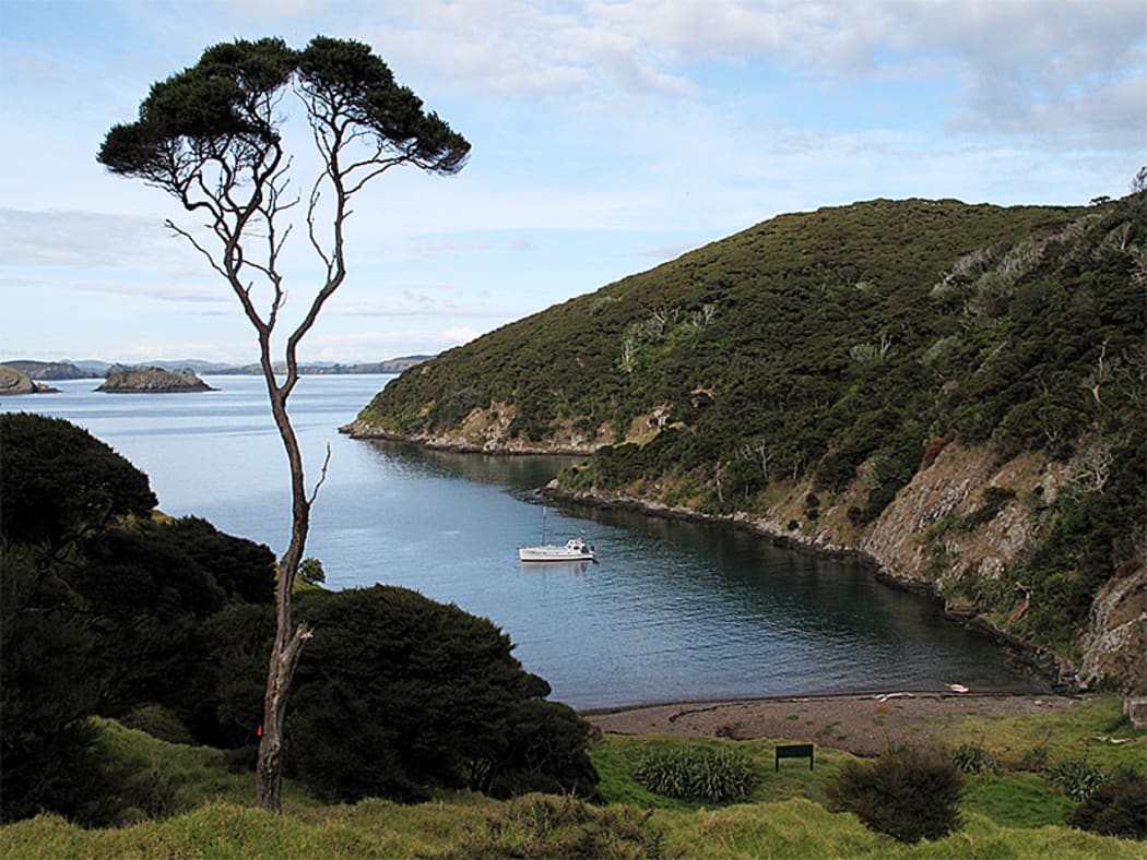 Deep Water Cove, in the Bay of Islands is an example of the success of a no-fishing rahui on the recovery of marine ecosystems