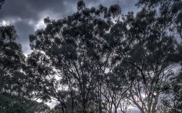 Flash flooding likely in some areas as heavy rain falls across Victoria ...