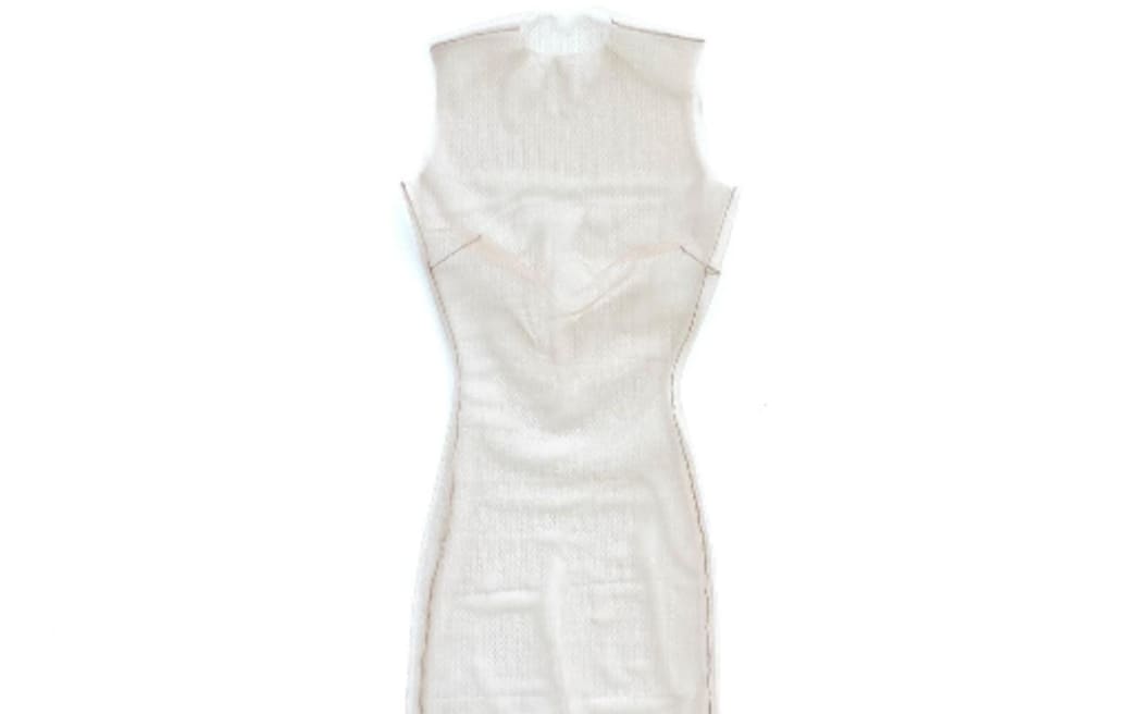 The image of Bianca Censori's sheer dress that she wore to the Grammy Awards.