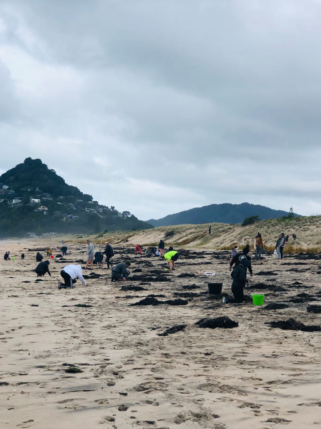 Locals pick up thousands of plastic beads found at Tairua beach.