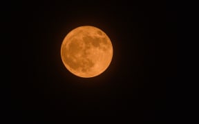 The first supermoon of 2023, also known as ''buck moon'' is seen through the gaps in the branch of a neem tree at Tehatta, West Bengal; India on 03/07/2023. The Moon appears brighter and 7 percent larger than its normal appearance. The tradition of naming full moons has its roots in Native American folklore, where tribes observed the lunar cycles and assigned names based on natural occurrences and seasonal markers. These names were used to track time, signify important events, and aid in agriculture and hunting.  (Photo by Soumyabrata Roy/NurPhoto) (Photo by Soumyabrata Roy / NurPhoto / NurPhoto via AFP)
