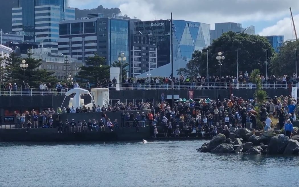Ultra-marathon swimmer Jono Ridler, arriving in Wellington on 4 April, 2026, after swimming almost 1400km on the east coast of the North Island from North Cape to campaign against bottom-trawling fishing.