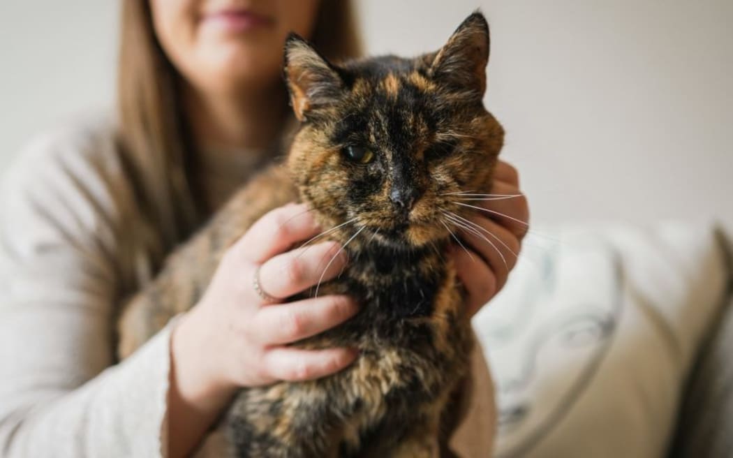 Flossie, a nearly 27-year-old cat from England has been named the world's oldest living cat by Guinness World Records.