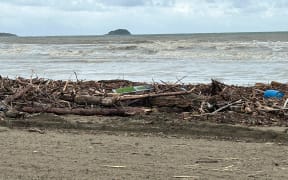 Hoards of slash along Midway Beach in Gisborne.