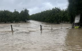 John Evan's orchard in Twyford, Hawke's Bay where it flooded.