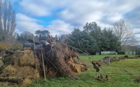 Debris left from the flooding, and a fence thrown across Gary Williams' paddock in Okuku, north Canterbury.