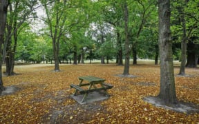Marylands Reserve, Christchurch, one of two former sites of the notorious Marylands School.