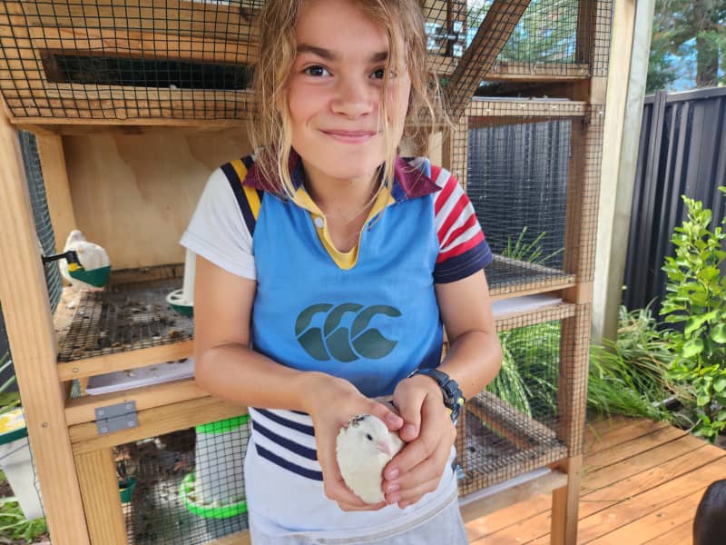 Hamish started farming quails for their eggs aged 11. He is saving the profits he makes after paying for his market stall and other outgoings like feed.