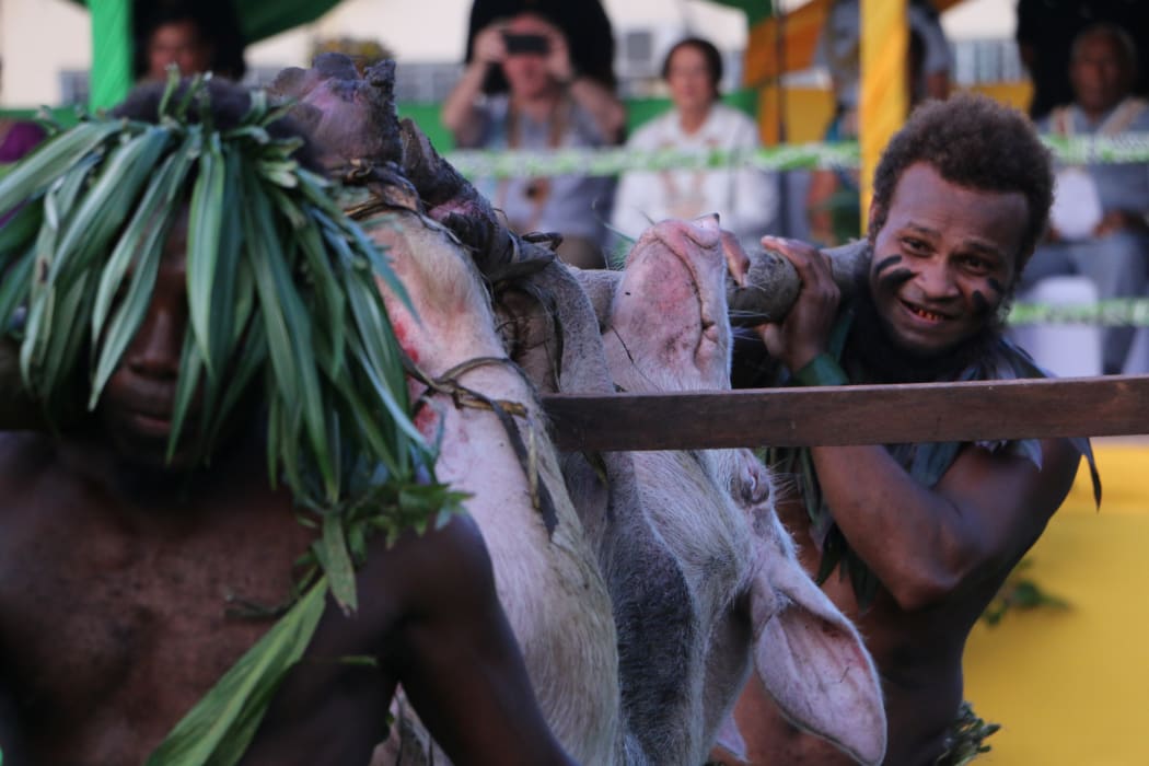 A pigs brought out during the official ceremonies.