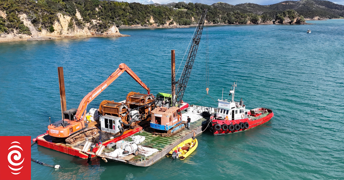 Dredging of caulerpa in Bay of Islands needs more government funding - council leader - Vimarsana News