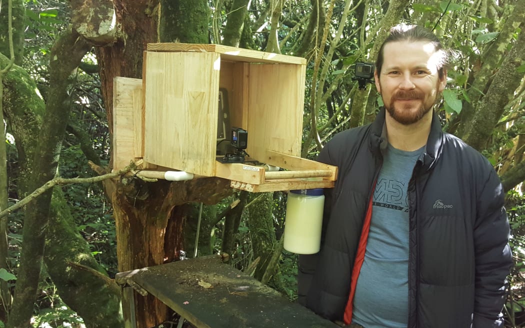 Daniel Donoghue next to his 'drop-in' kaka feeding station at Zealandia.