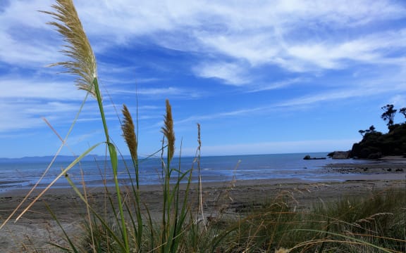 Golden Bay is considering separating from the Tasman District Council.