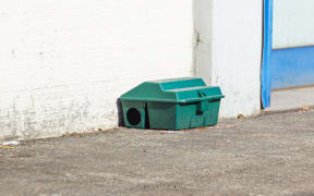 Stock photo of a rat trap.