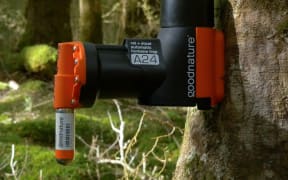 Goodnature self setting trap
