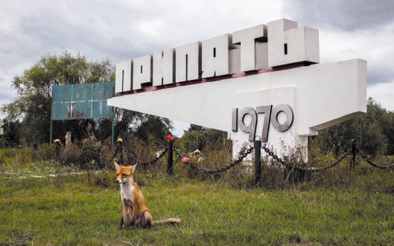 Chernobyl