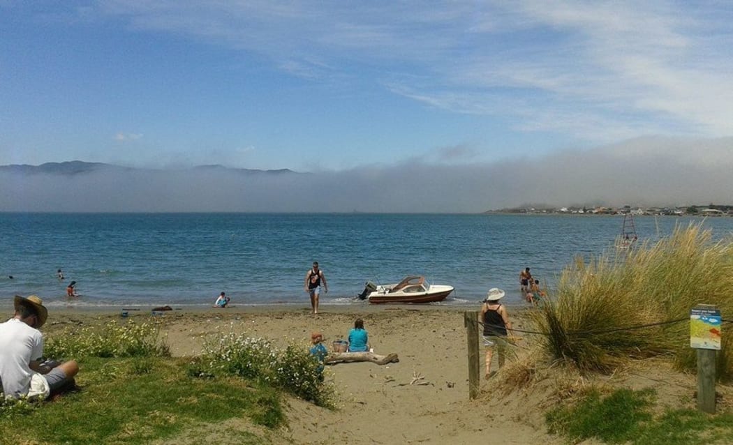 An eerie sea mist started rolling in from the south this morning. Worser Bay Beach.