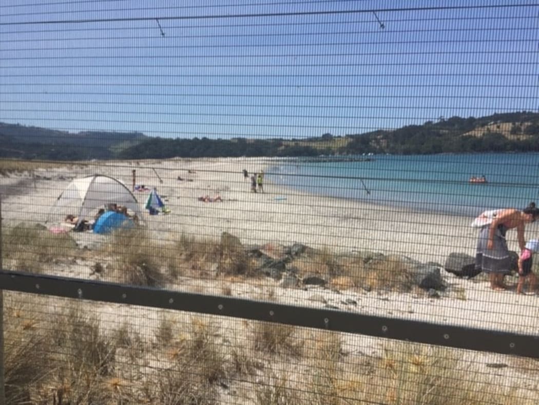 The fenced predator proofed sanctuary is being used as a private beach.